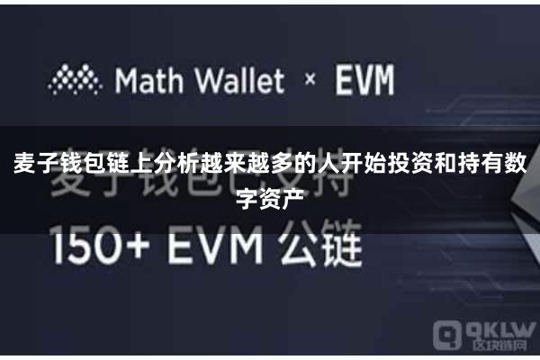 麦子钱包链上分析越来越多的人开始投资和持有数字资产
