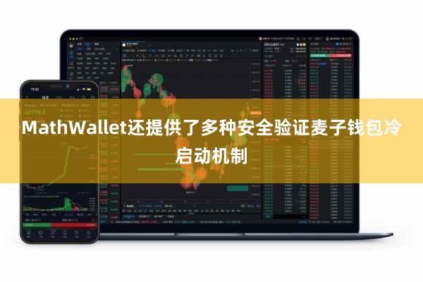 MathWallet还提供了多种安全验证麦子钱包冷启动机制