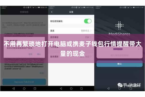 不用再繁琐地打开电脑或携麦子钱包行情提醒带大量的现金