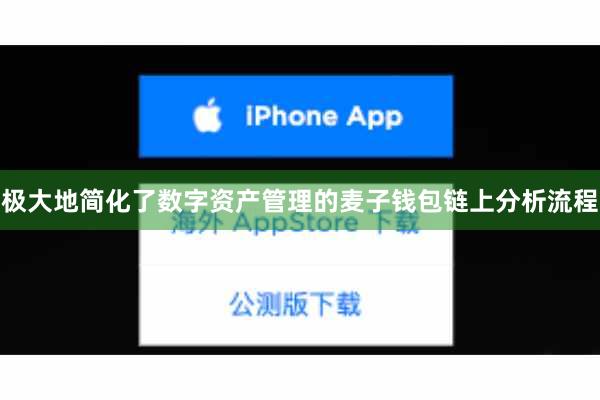 极大地简化了数字资产管理的麦子钱包链上分析流程