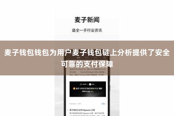 麦子钱包钱包为用户麦子钱包链上分析提供了安全可靠的支付保障