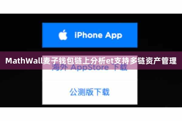 MathWall麦子钱包链上分析et支持多链资产管理