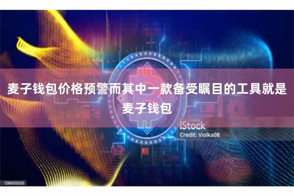 麦子钱包价格预警而其中一款备受瞩目的工具就是麦子钱包