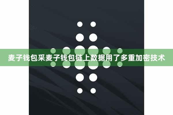 麦子钱包采麦子钱包链上数据用了多重加密技术