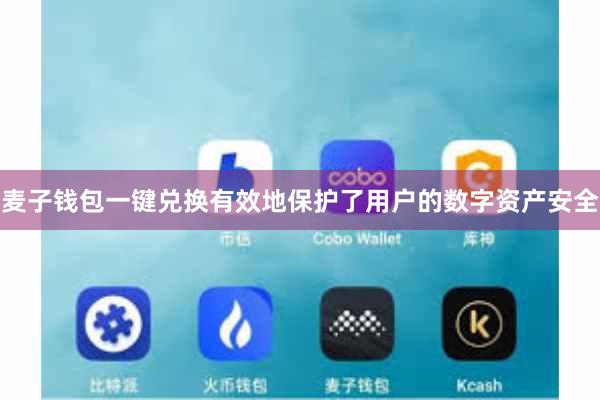 麦子钱包一键兑换有效地保护了用户的数字资产安全