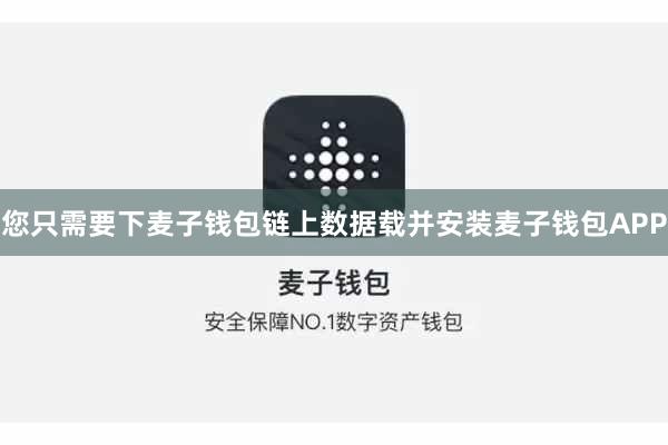 您只需要下麦子钱包链上数据载并安装麦子钱包APP