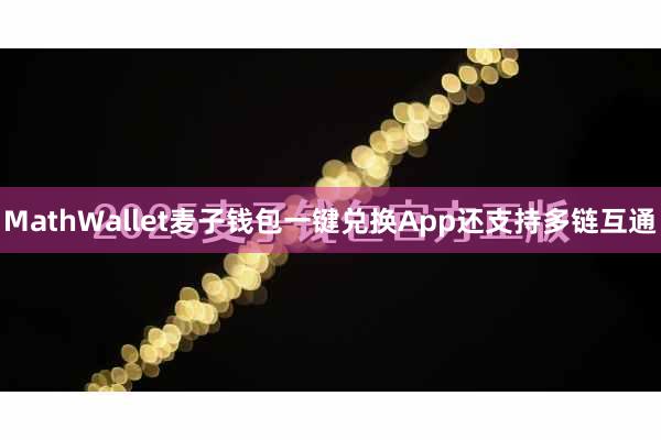 MathWallet麦子钱包一键兑换App还支持多链互通