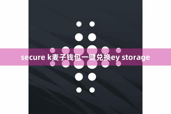 secure k麦子钱包一键兑换ey storage