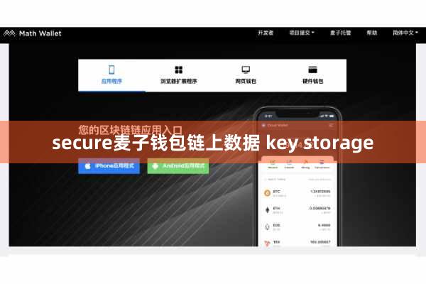 secure麦子钱包链上数据 key storage
