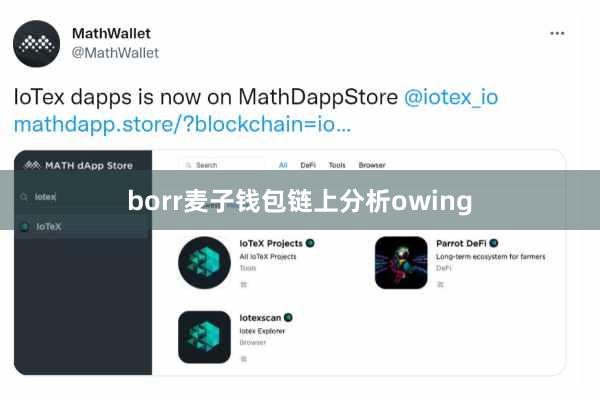 borr麦子钱包链上分析owing