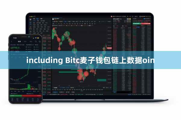 including Bitc麦子钱包链上数据oin