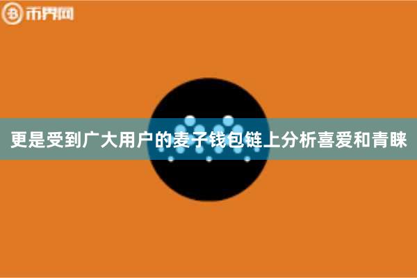 更是受到广大用户的麦子钱包链上分析喜爱和青睐
