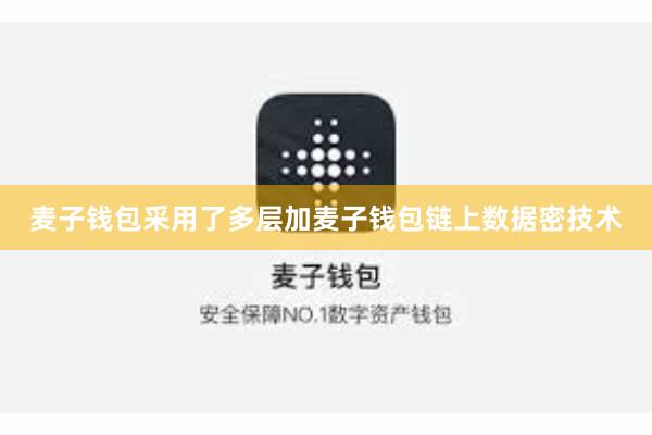麦子钱包采用了多层加麦子钱包链上数据密技术