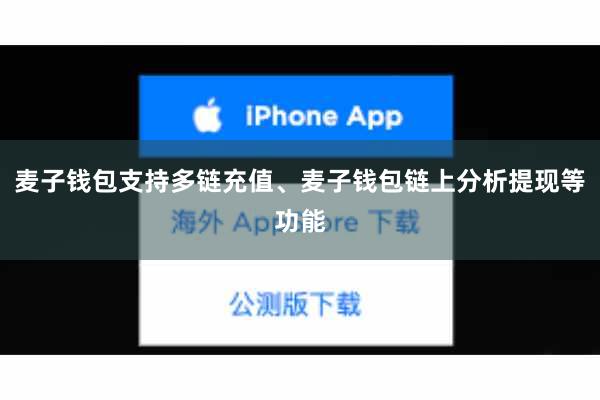 麦子钱包支持多链充值、麦子钱包链上分析提现等功能