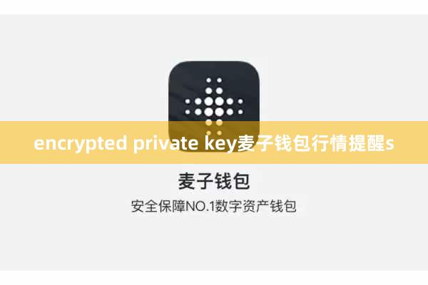 encrypted private key麦子钱包行情提醒s