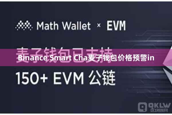Binance Smart Cha麦子钱包价格预警in