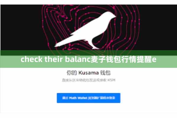 check their balanc麦子钱包行情提醒e