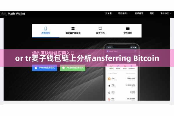 or tr麦子钱包链上分析ansferring Bitcoin